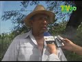 Parcelas en Tlatenchi Morelos son regadas con agua contamina Parcelas en Tlatenchi Morelos son regadas con agua contamina