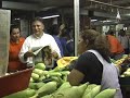 VISITA A PLAZA CENTRAL