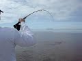 Chaz River Redfish Jan 08! Chaz River Redfish Jan 08!