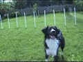Gracie Loves Water!