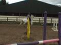Apollo+Tessie♥♥ ; 18/10/2008.