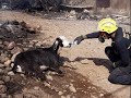 incendio en gran canaria