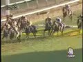 2007 ???? Arima Kinen