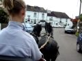 Carriage Driving Maartje and Miep Part 2