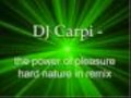DJ Carpi - The Power Of Pleasure (WITH LYRICS)