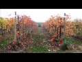 Autunno 2008.wmv