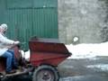 videos de Sealscrook Farm