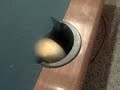 playin some pool