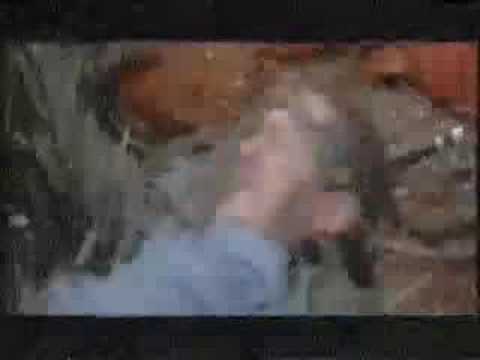 Gallows - In The Belly Of A Shark