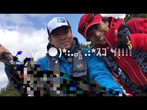 【エビ撒き&フカセが面白い】南芦屋浜リアルタイム 【エビ撒き&フカセが面白い】南芦屋浜リアルタイム