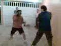 1537 peleas estupidas