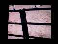 Run Away