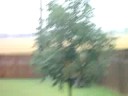 More Kansas Weather