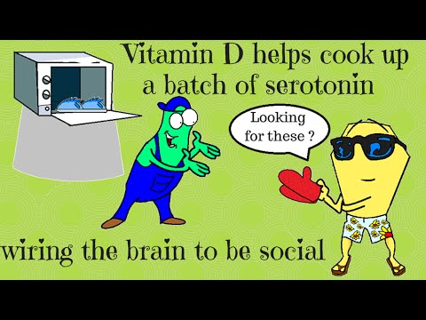 The connection between vitamin D and autism