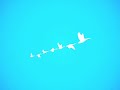 Hatsune Miku - No Bird - VOCALOID