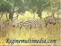 biyahe-tayo-behind-the-scenes-with-bonamine.html