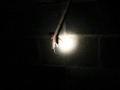 The Crawl Space and \"The Spider\"