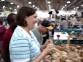 Carli and the Wooden Frog