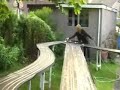 slot cars