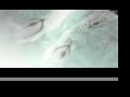 Tsubasa Chronicle AMV (Hitsuzen)