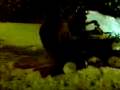 videos de 4ratis ;)