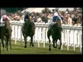 Horse Racing ~ Dream On