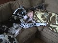 Malachi and Zeb on the couch