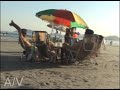 av-programa-14-de-agosto.html