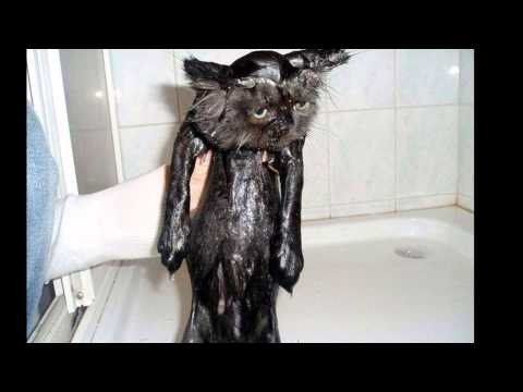 YouTube &ETH;&cent;&Ntilde;&ETH;&micro;&ETH;&sup1;&ETH;&raquo;&ETH;&micro;&Ntilde;