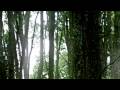 FOUND - In HD