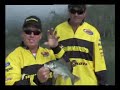 Identifying Fish and Fish Arches