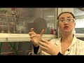 Calcium - Periodic Table of Videos