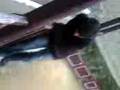 ander tirandose a la arena 2