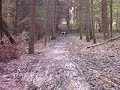 velo a la foret velo a la foret