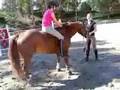 Alexa and Rusty do trick
