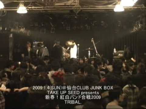 TRIBAL. / 新春!紅白バンド合戦2009