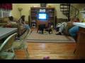 videos de ellie and meow playing