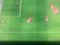 My Fifa09 goal with Berbatov