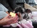keyra likes apple