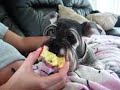 keyra likes apple