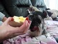 keyra likes apple