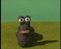 johnny noxville slug johnny noxville slug