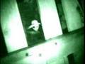 we have been visited by aliens. best video ever seen