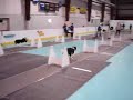 Pawzest - JDD Flyball Team Clean Break Tournament