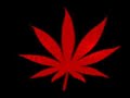 Zanta XL Diss - Drama Records Zanta XL Diss - Drama Records