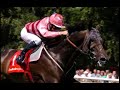 Famous horses from the UK racing scene Famous horses from the UK racing scene