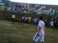 toros mirabel 2008