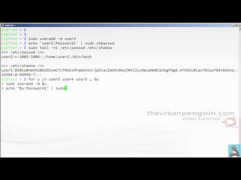 how to create user in linux