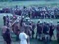 Slavonic and Viking Warriors