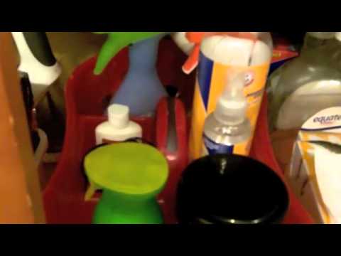 how to organize under your kitchen sink